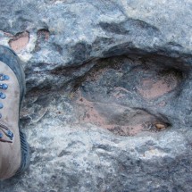 Dinosaur footprint on the way to the Caverna Umjalanta